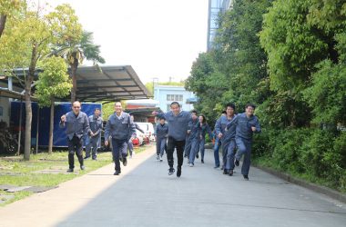 અમારી ટીમ